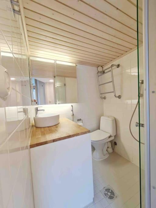 Stylish Studio In Downtown ヘルシンキ エクステリア 写真